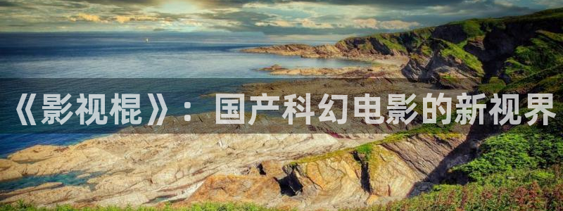久久久久精品国产亚洲av电影