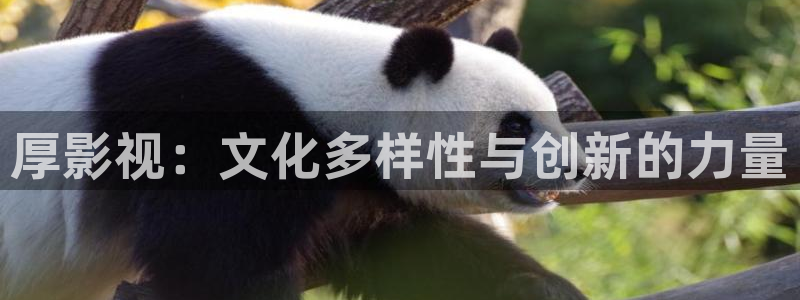www.久久久久影院