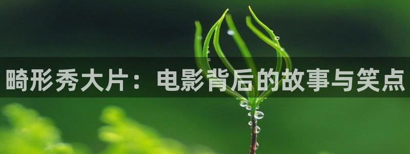 久久视频视频