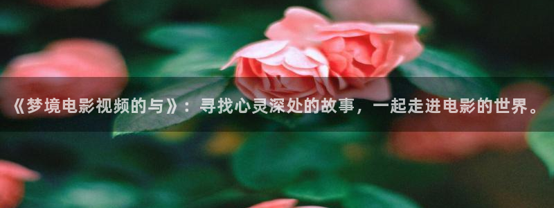 国产久久久久视频
