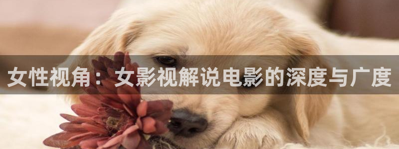 久久久久久久久精彩视频