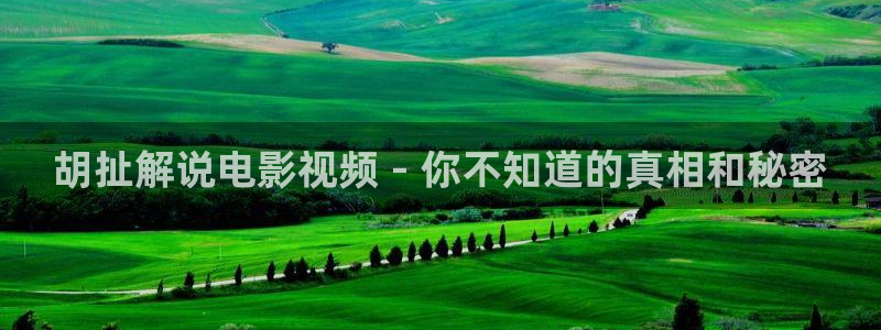 久久视频只有精品