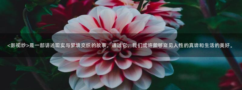 园产精品久久久久久久7电影