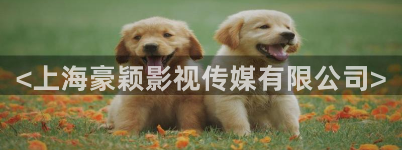 久久久久韩日精品电影久久久