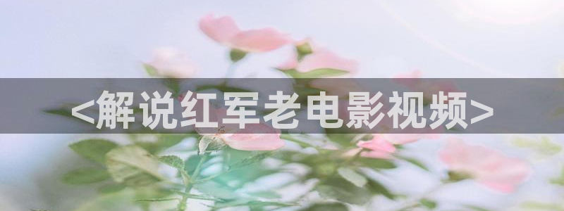 久久久久久久久影视