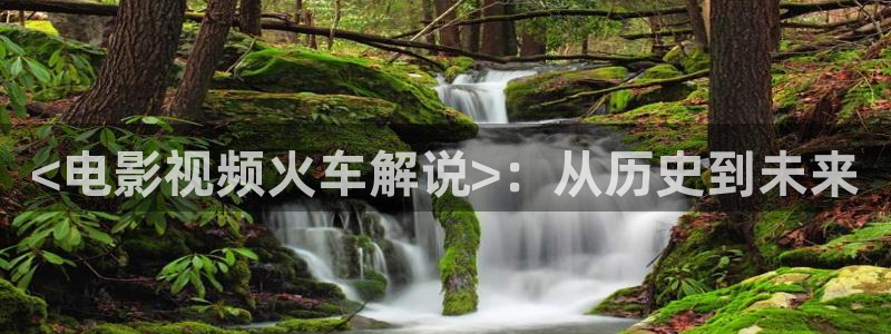 视频免费久久久