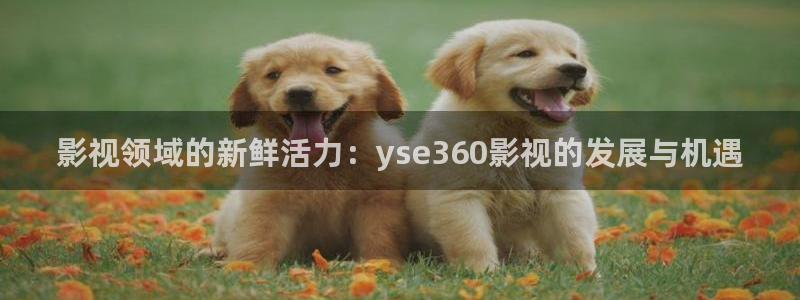 91人妻精品久久久久久久久电影