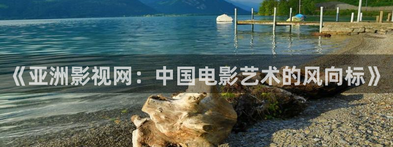 国产电影精品久久久久久