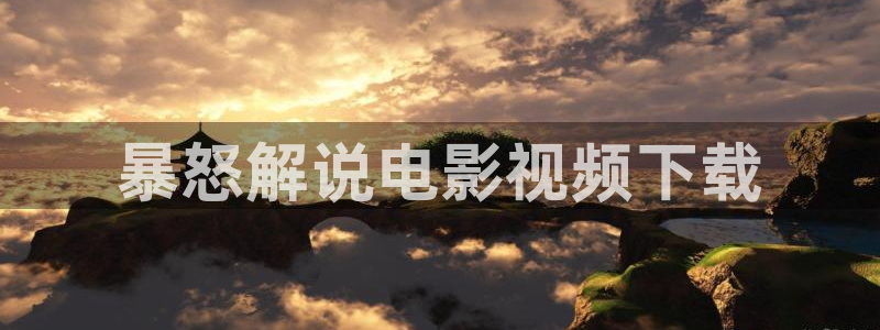 久久视频只有精品