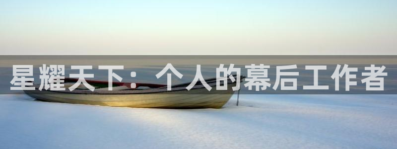 久久久久免费视频视频：星耀天下：个人的幕后工作者