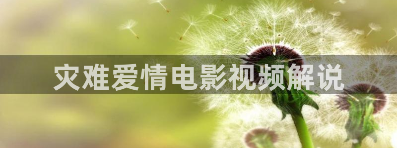久久久久久成人免费视频：灾难爱情电影视频解说