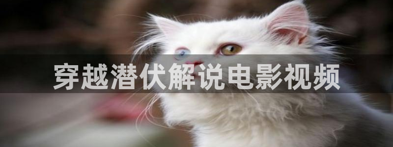 老子影院午夜不卡久久久：穿越潜伏解说电影视频