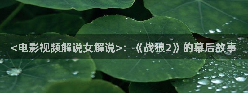 www久久久视频：<电影视频解说女解说>：《战狼2》的幕后故事