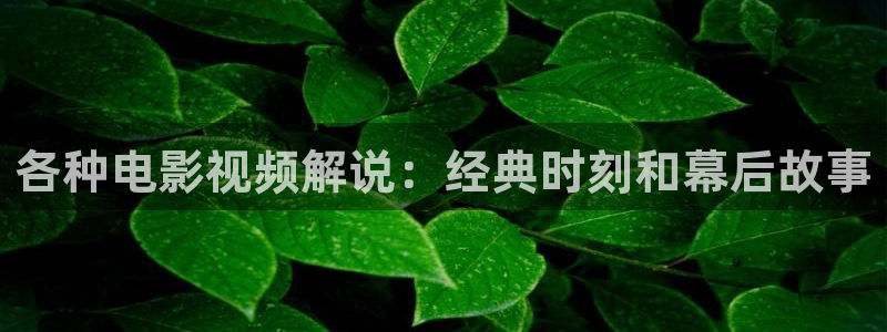 午夜精品久久久影院av：各种电影视频解说：经典时刻和幕后故事