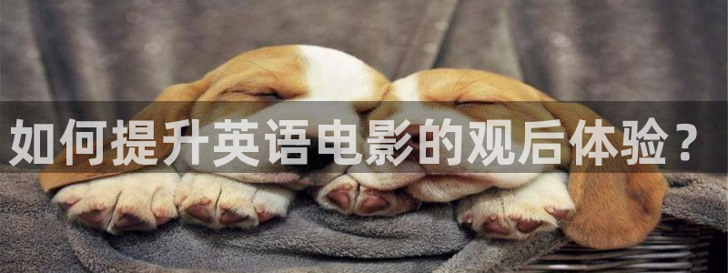 精品国产18久久久久久依依影院：如何提升英语电影的观后体验？