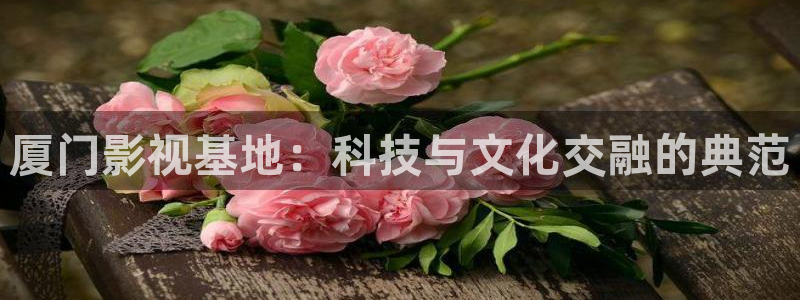神马午夜电影院久久久久：厦门影视基地：科技与文化交融的典范