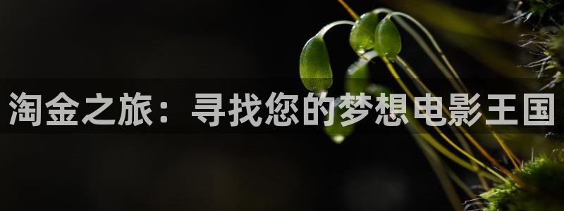 久久久久久成人免费视频：淘金之旅：寻找您的梦想电影王国