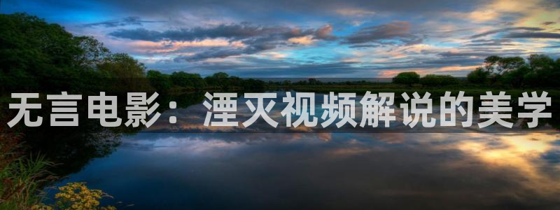 亚洲午夜精品久久久久久影视：无言电影：湮灭视频解说的美学