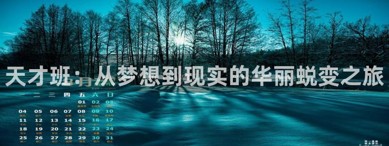 午夜影院9久久久：天才班：从梦想到现实的华丽蜕变之旅