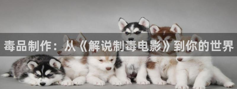 久久视频一区二区：毒品制作：从《解说制毒电影》到你的世界