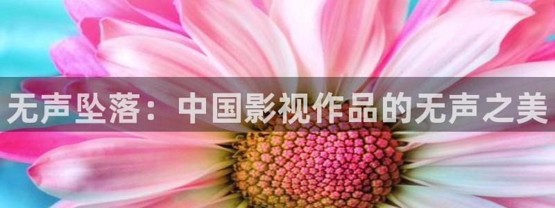 久久久久久神马影院：无声坠落：中国影视作品的无声之美