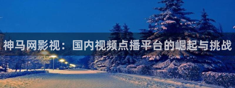 久久视频在线视频观看2019：神马网影视：国内视频点播平台的崛起与挑战