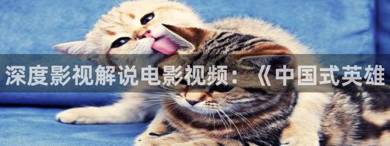 国产艳遇久久久久久久精品电影：深度影视解说电影视频：《中国式英雄