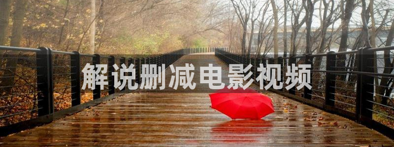 久久精品久久久电影：解说删减电影视频