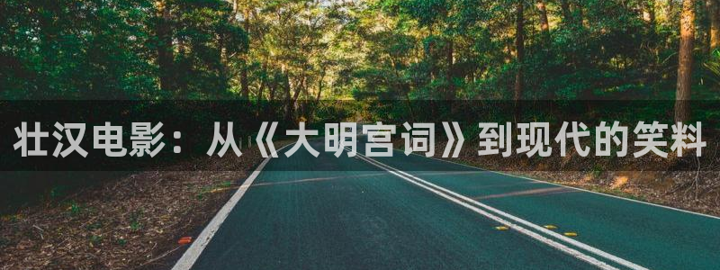 日韩久久久影院：壮汉电影：从《大明宫词》到现代的笑料