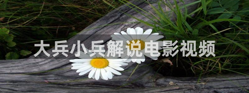 精品久久久久久电影网：大兵小兵解说电影视频