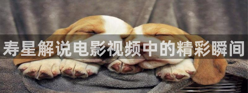 久久久精品视频电影：寿星解说电影视频中的精彩瞬间