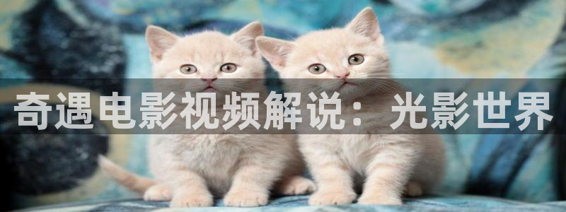 久久久久久久久久久久久影院：奇遇电影视频解说：光影世界