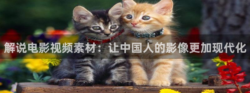 国产亚洲综合性久久久影院：解说电影视频素材：让中国人的影像更加现代化