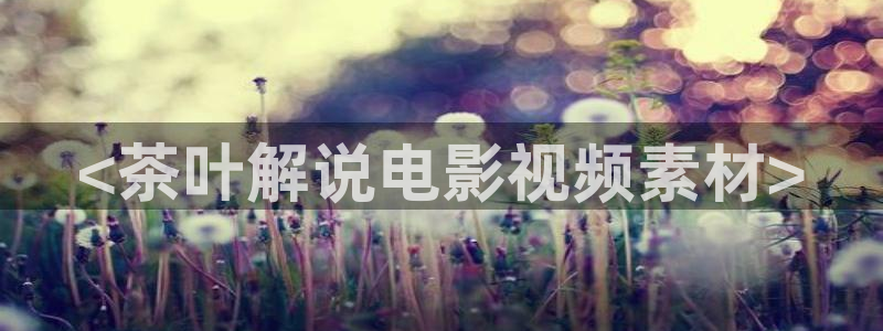 国内精品久久久久影院,日本资源：<茶叶解说电影视频素材>