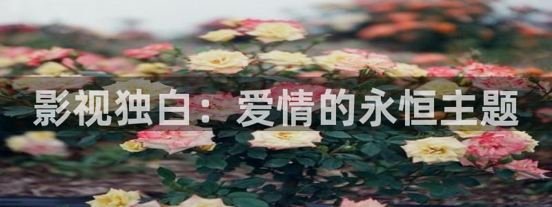 国产精品电影久久久久