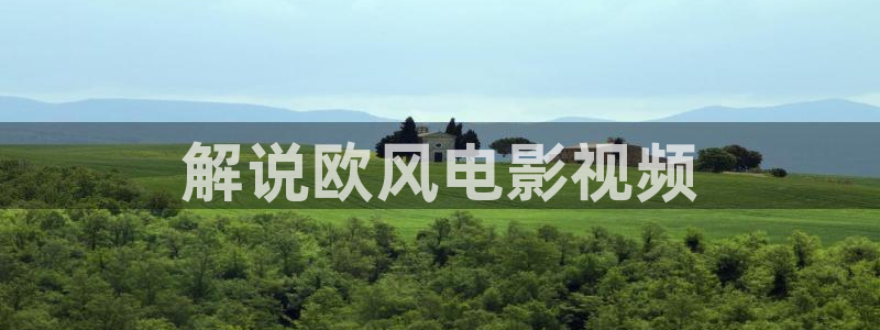 91精品国产高清久久久久：解说欧风电影视频