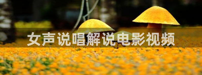 久久久伊人影院：女声说唱解说电影视频