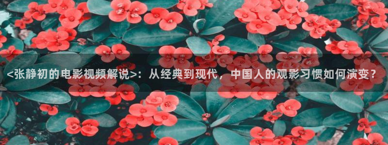 久久久久久国产精品视频