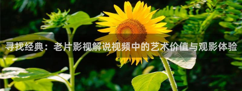 2019最新久久久视频精品