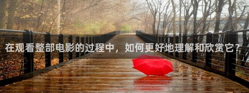 久久久久久久久久久9精品视频