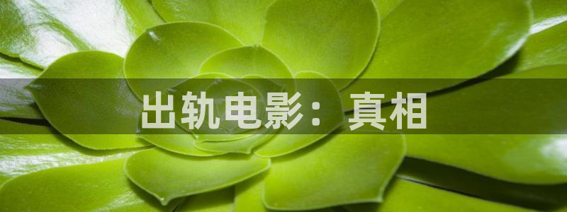 伊人网影院久久久