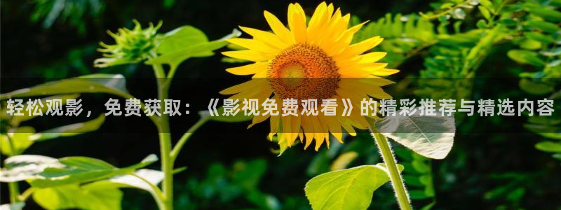 久久综合久久视频