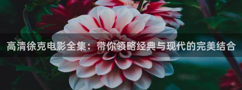 久久久久精品国产熟女影院