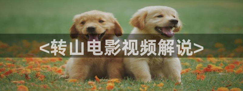 午夜理伦片久久久久
