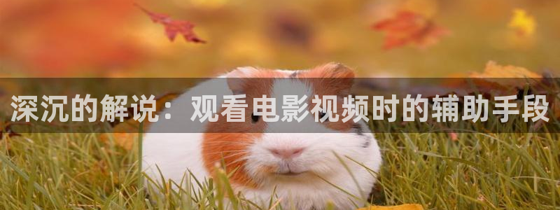 原久久视频