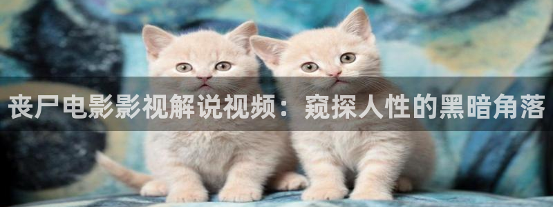 久久久久久久久亚洲精品免费电影