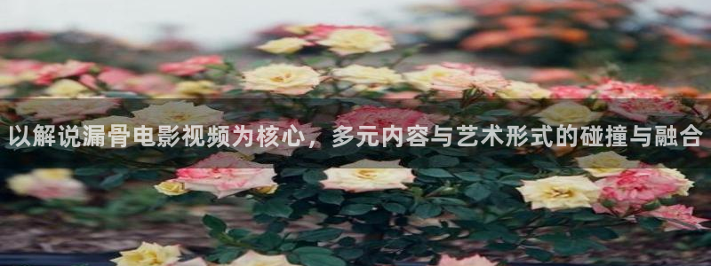 精品久久久久久亚洲视频