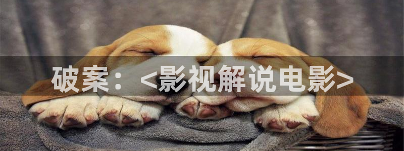 久久视频2