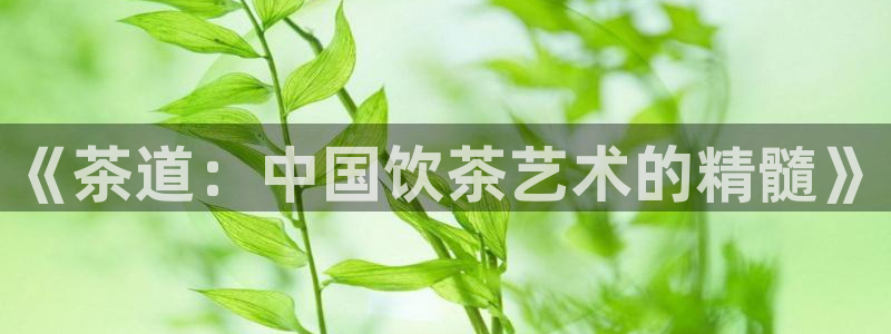 久久久www视频