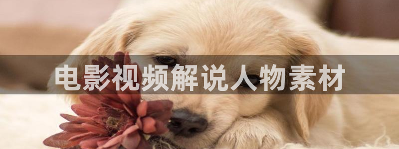 久久久久青草强轩视频